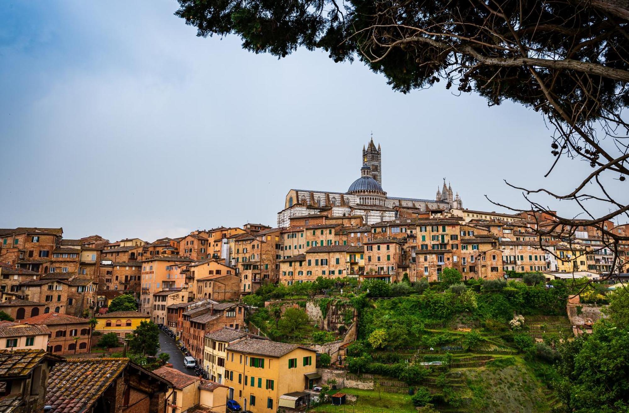 Civico116 - Dentro Le Mura, Parcheggio Gratuito Siena Dış mekan fotoğraf